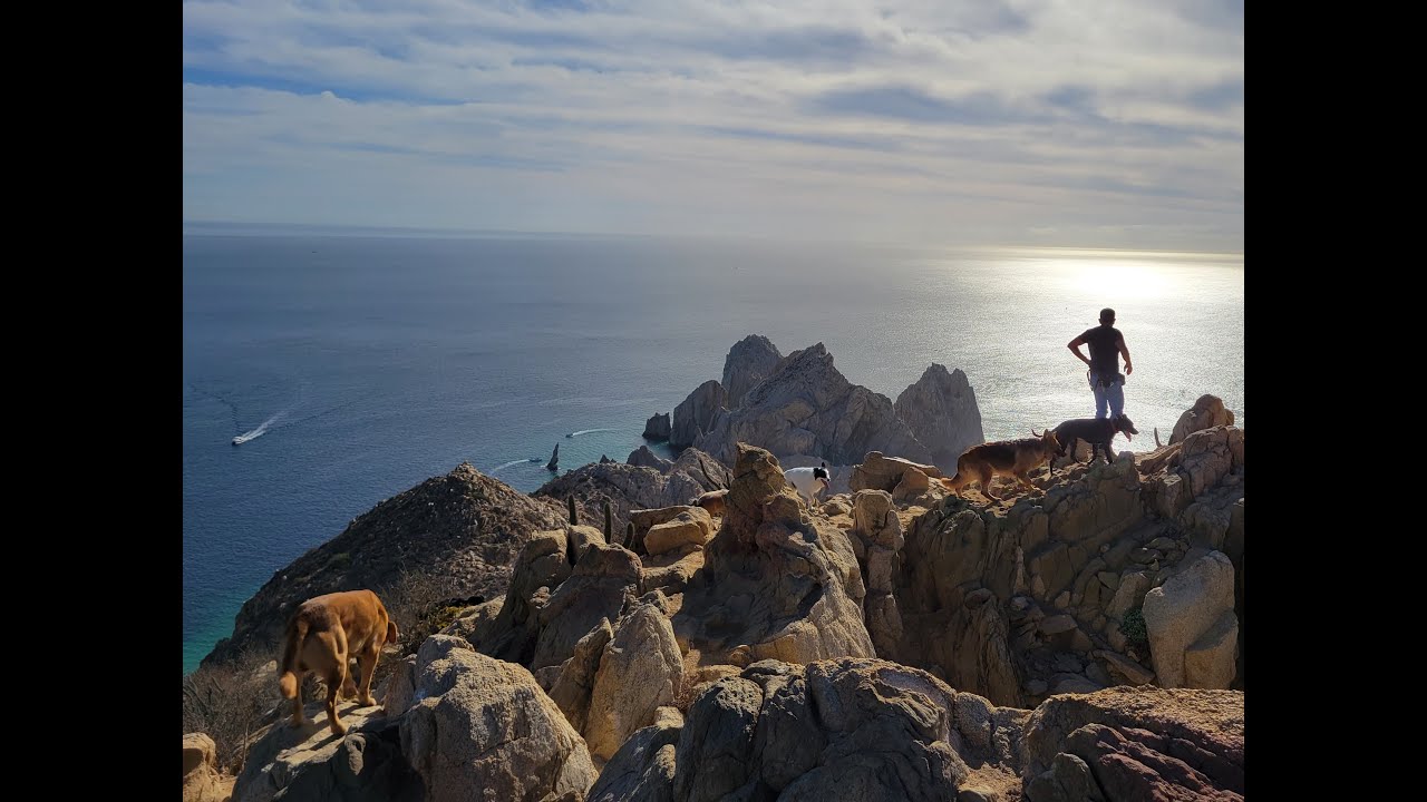 Diving in La Paz & Mount Solmar Dog Hike in Cabo 2023