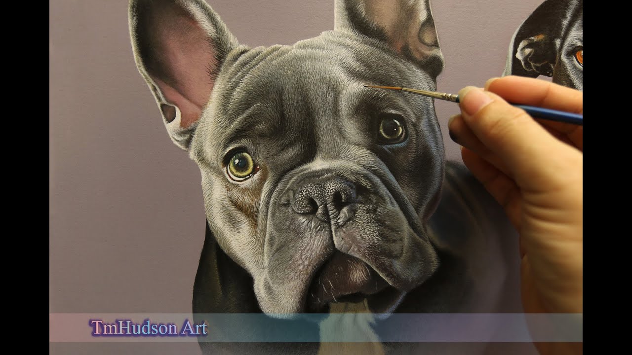 Рисование реалистичного французского бульдога акрилом / покадровая съёмка портрета собаки