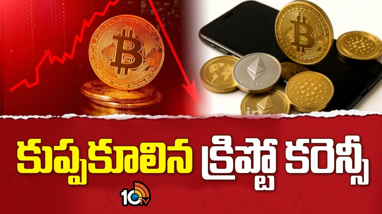 కుప్పకూలిన క్రిప్టో కరెన్సీ | Downfall Of Crypto Currency | World Market | 10TV News