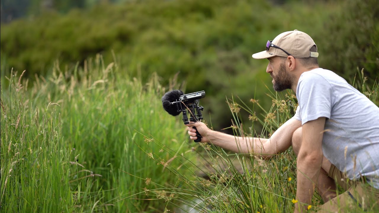 LSWR sounds - Field recording