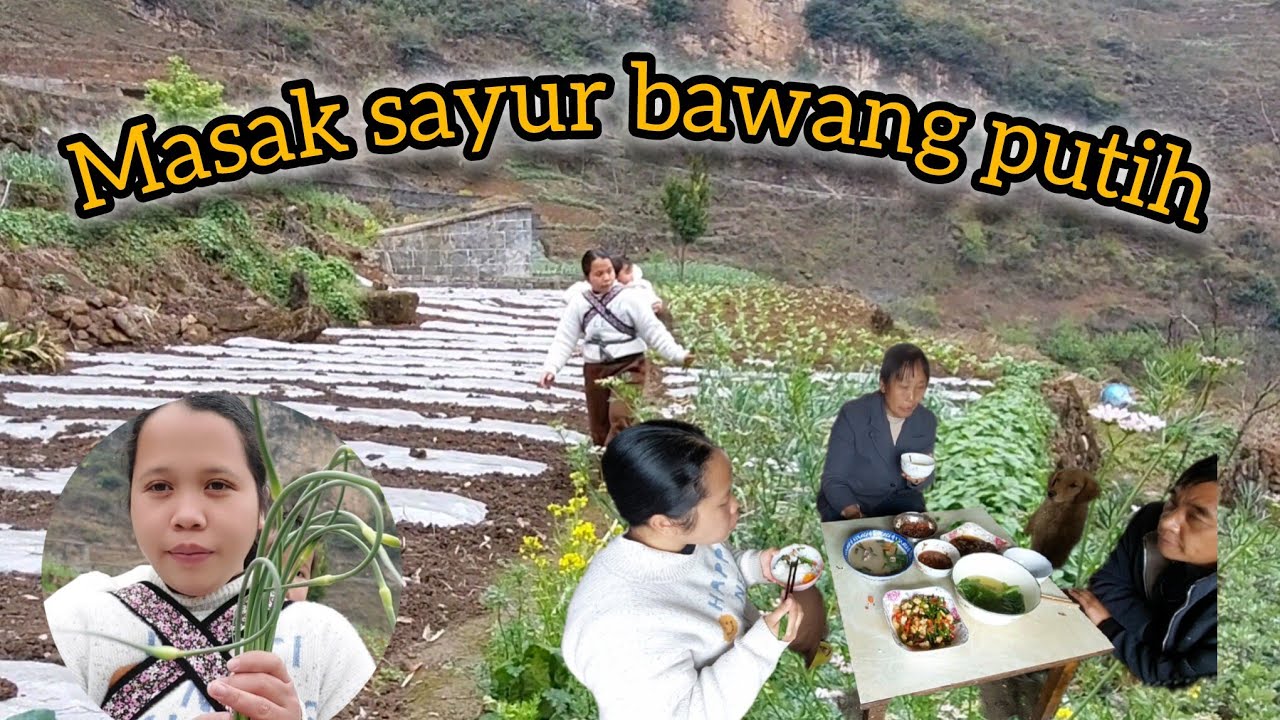 Petik wortel dan pucuk bawang putih untuk masak tumisan udang yang lezat di china