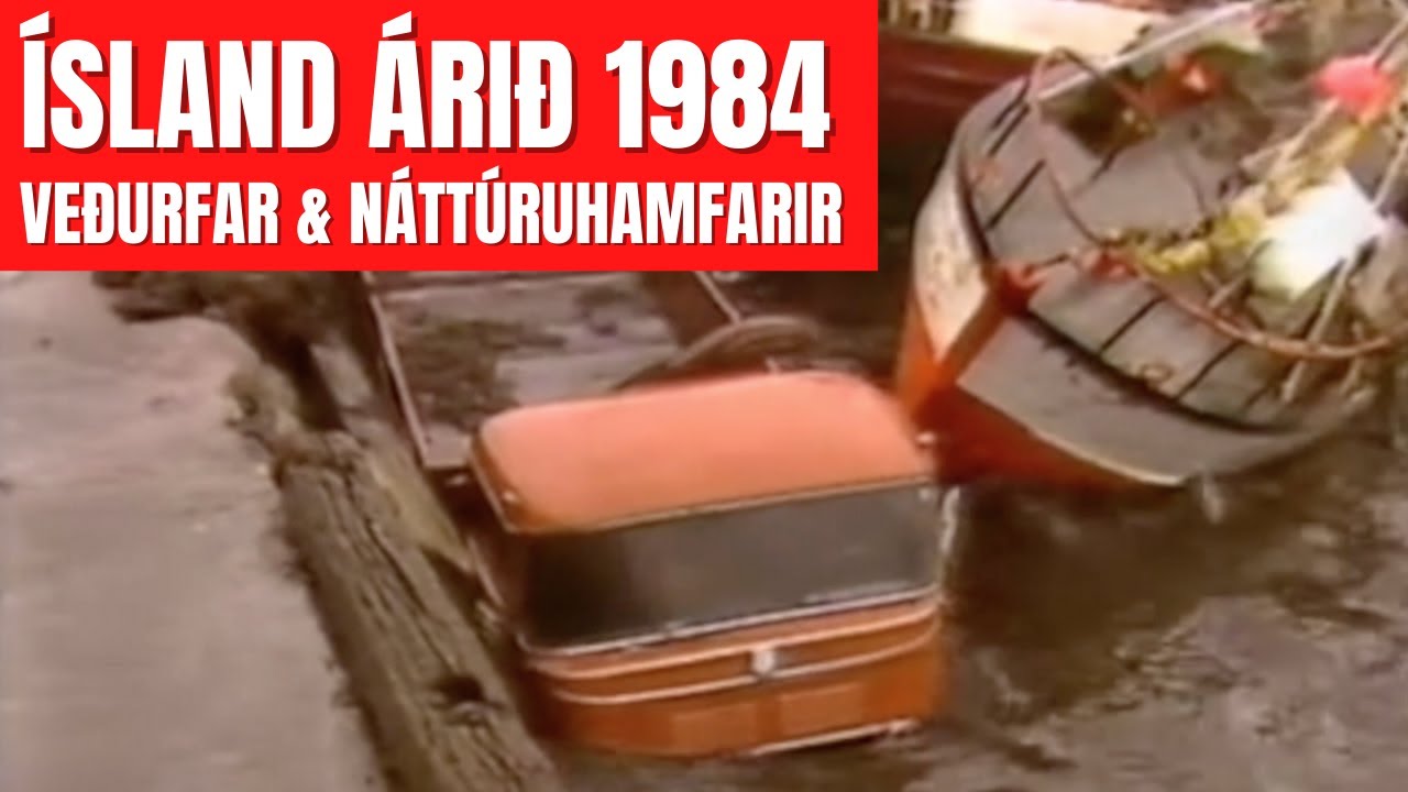 Veðurfar á Íslandi árið 1984