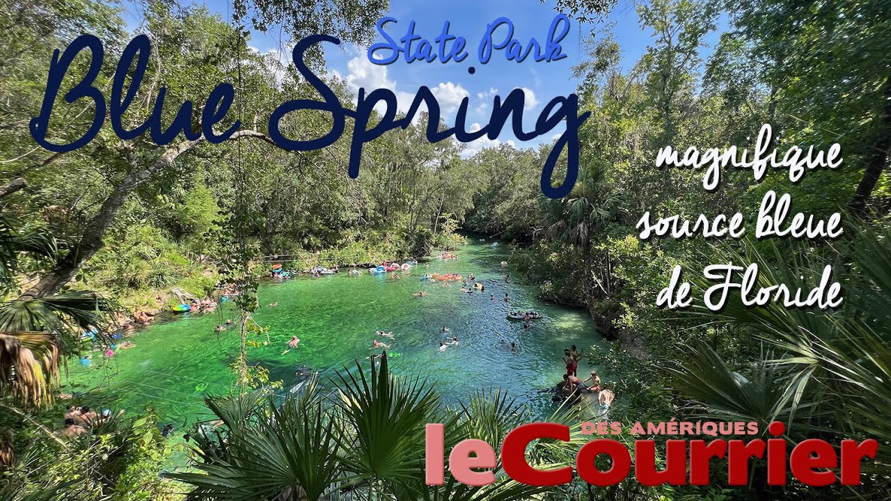 Blue Spring State Park : magnifique source bleue de Floride, remplie de lamantins !
