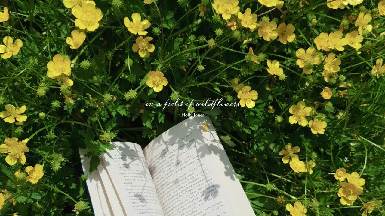 sunny days of reading and feeling unbothered