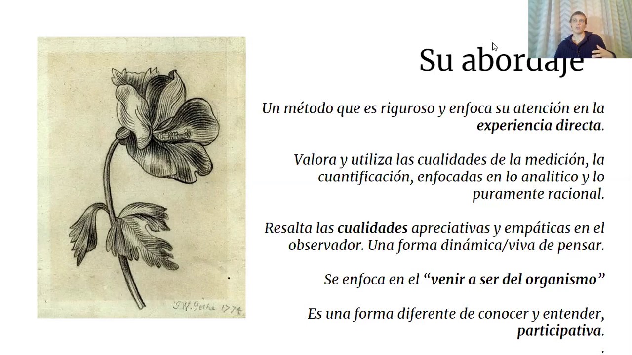 La ciencia goetheana y su visión del mundo (1/3): 