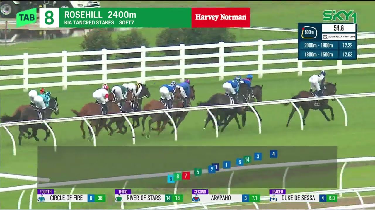 DUBAI HONOUR - Tancred Stakes 2025 (3YO+ WFA G1) Group 1 Rosehill 1 April