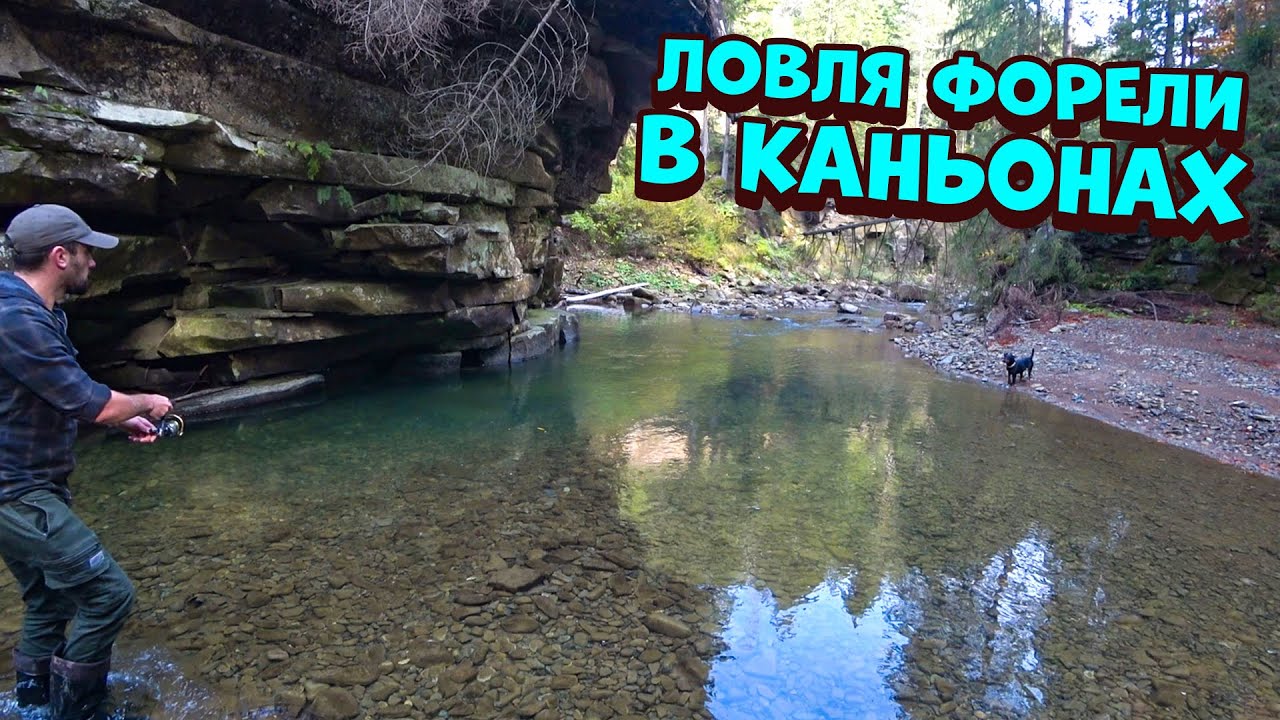 Ловля форель в каньонах. Собираю и готовлю опята с мясом. Доделал каменный домик.