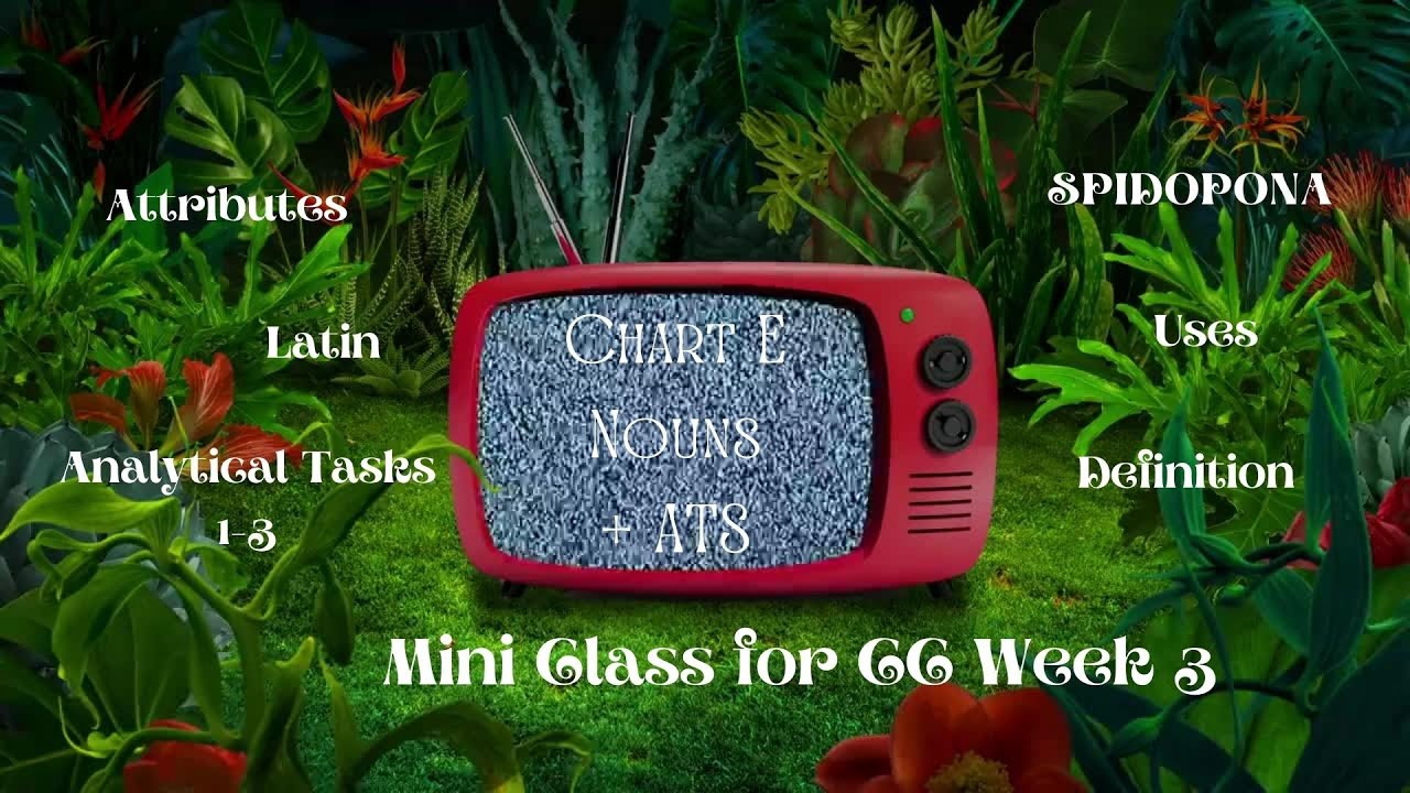 CC Week 3 // Essentials // Mini Class Nouns Chart E + IEW Unit 3 #homeschooling #English #noun #cc