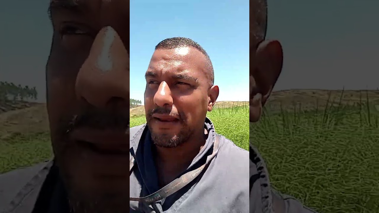 ORAÇÃO DA TARDE RECEBA A TUA VITÓRIA 🙏🏾