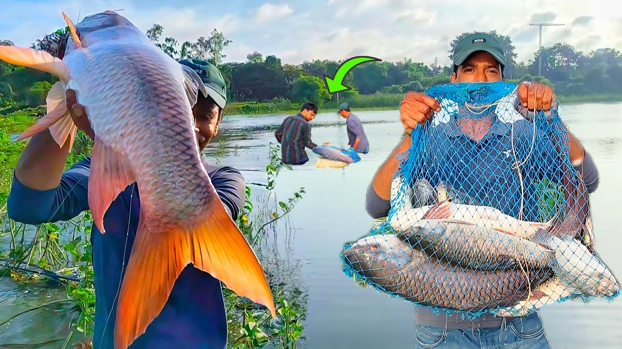 Big Fish Catching Videos | Feeder Fishing Videos | Lake Fishing Tips And Techniques | Fishing Video