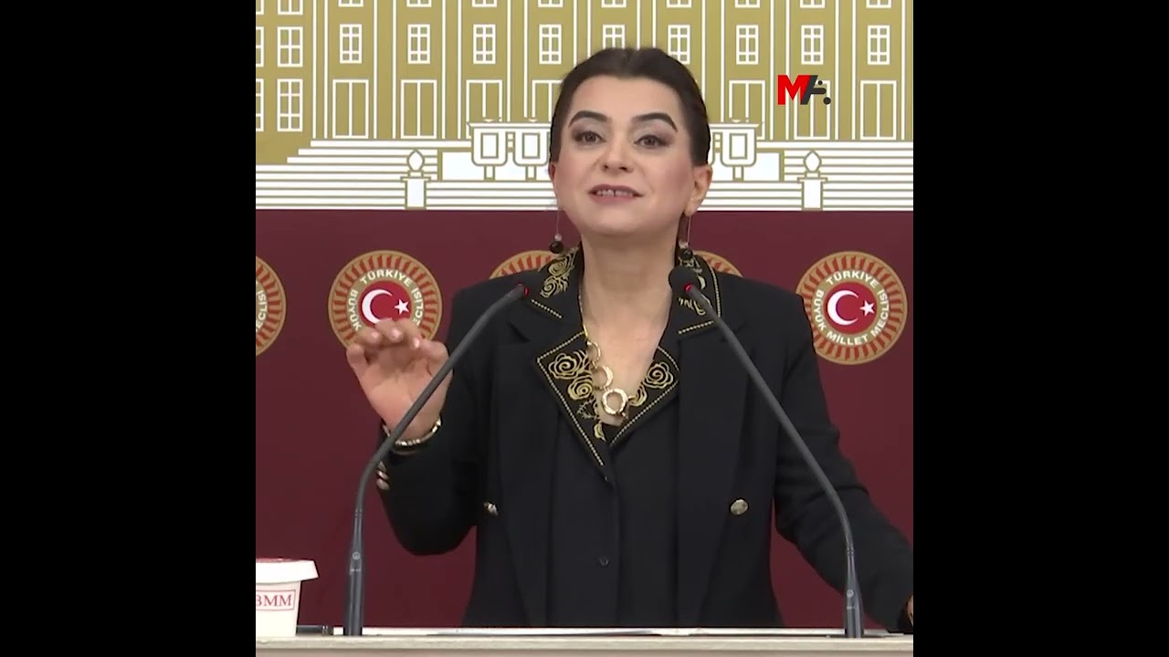 GÜLİSTAN KILIÇ KOÇYİĞİT: ANLAŞMA BİR BAŞLANGIÇ, PRATİĞE DÖKÜLMELİ