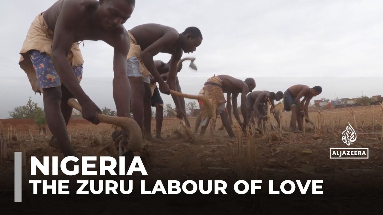 Nigeria's Zuru people preserve marriage tradition through farm labour
