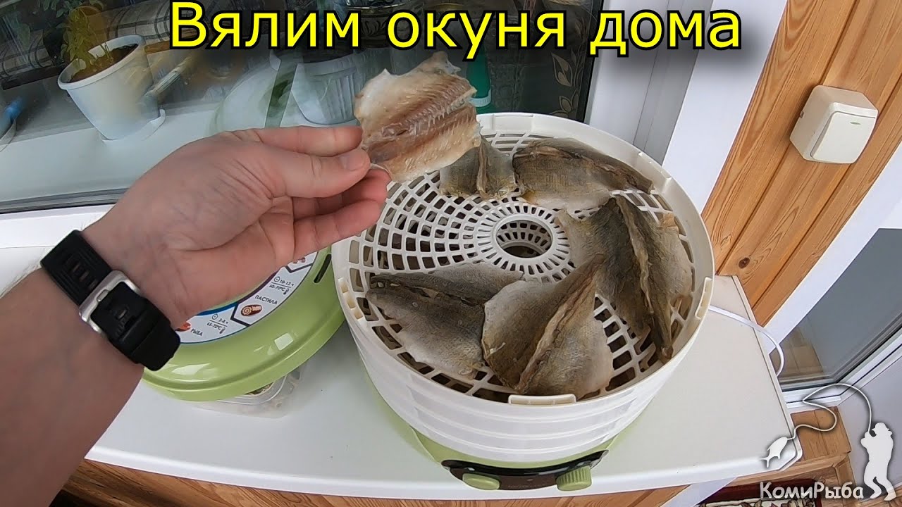 Как завялить рыбу (окуня) в домашних условиях. Мой личный способ засолить и вялить окуня