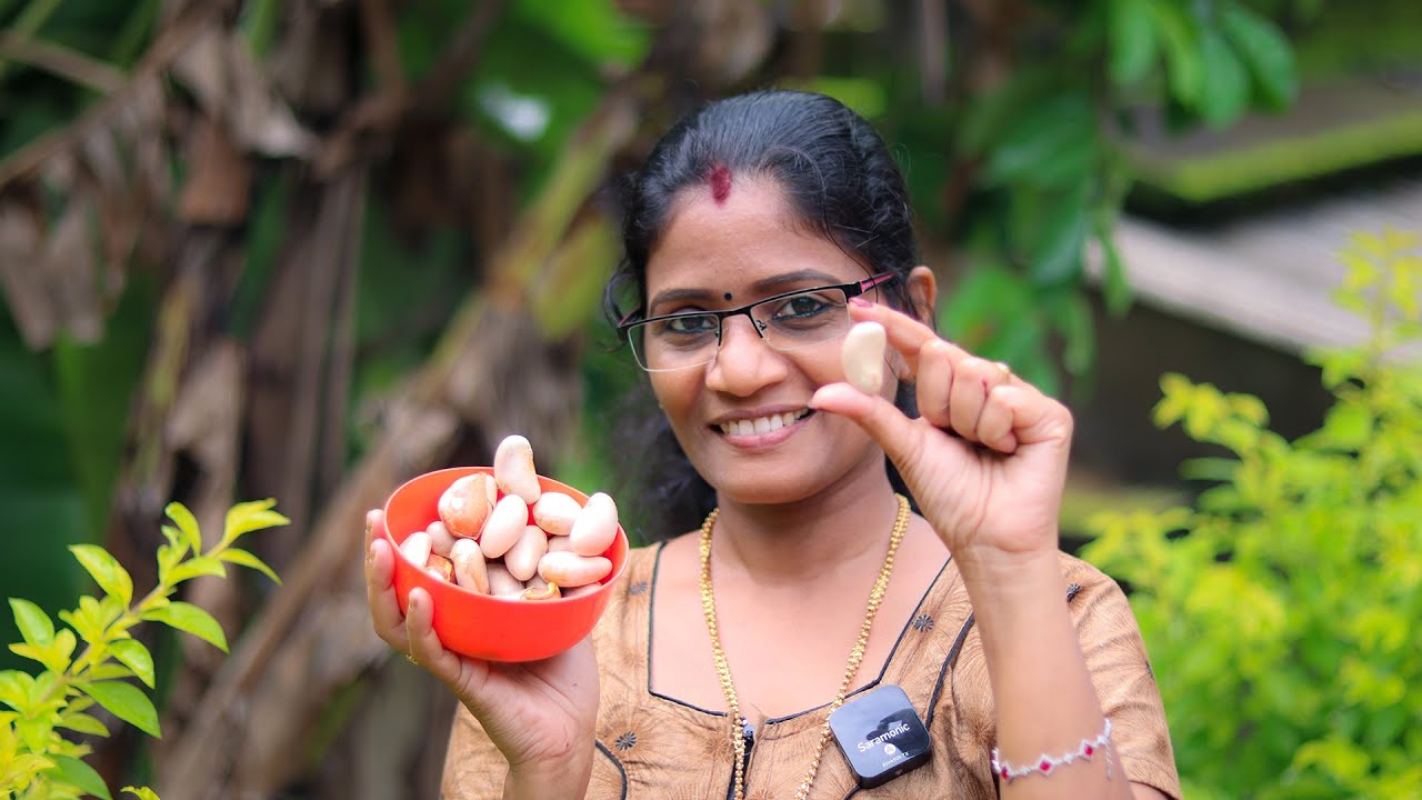 ചക്കക്കുരു ഇനി വെറുതെ കളയരുതേ, ഇങ്ങനെ ചെയ്തുനോക്കൂ👌💯| Chakkakkuru Curry Kerala Style Jackfruit Seed
