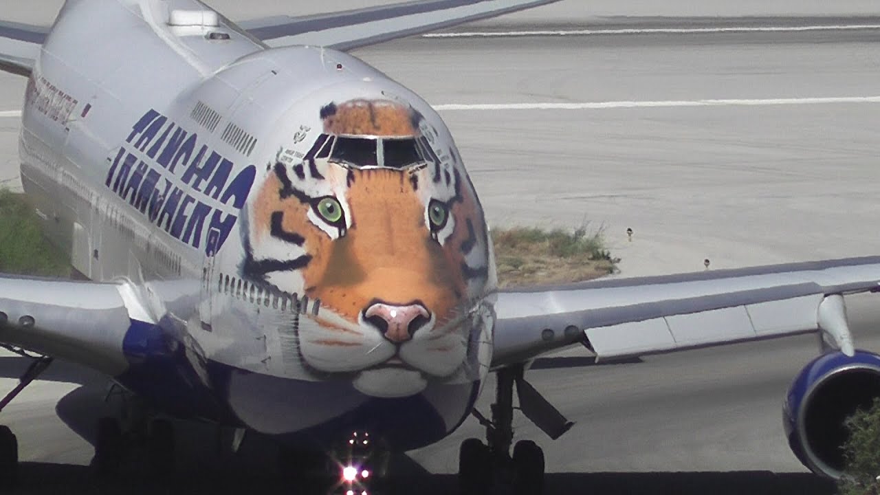 Tiger Boeing 747 Landing and Take-off