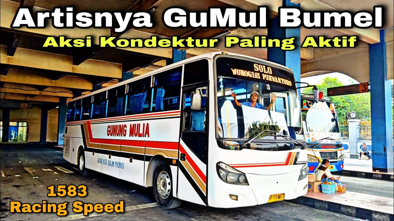 Artisnya GuMul Bumel ❗ Aksi Kondektur Paling Aktif ❗| trip Gunung Mulia AD 1583 BG