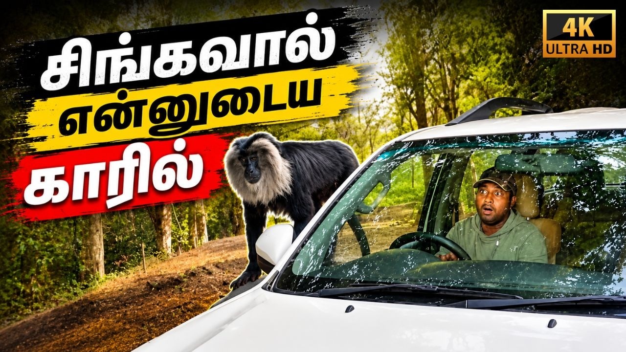 🔥காரிலேயே சிங்கவால் குரங்கு | வால்பாறை → டாப்ஸ்லிப் காடு பயணம் 🚗🌿 @SimbaaVlogs