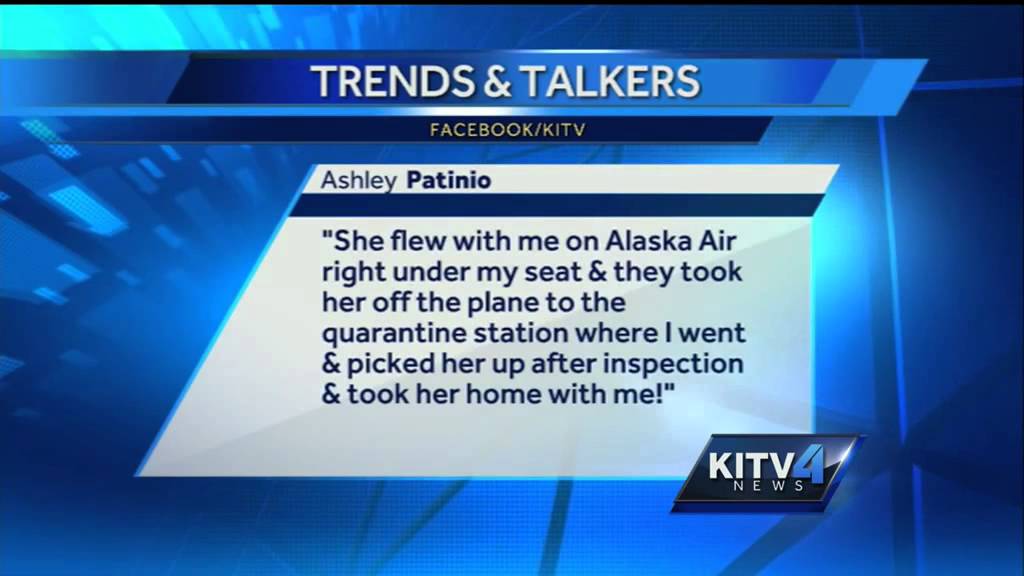 Viewers weigh in on mistreament of animals in quarantine