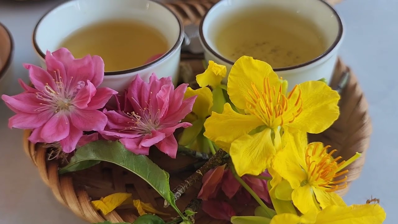 Đảng đã cho ta mùa xuân!