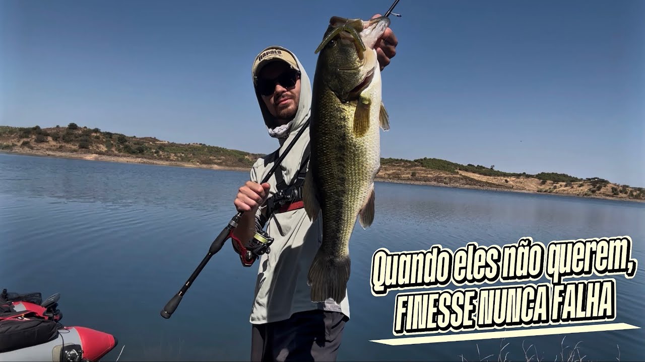 Muito calor 🥵 Peixes difíceis 😬 mas o FINESSE NUNCA FALHA 💪🏼🎣 (Pesca ao Achigã no Verão) 🌞