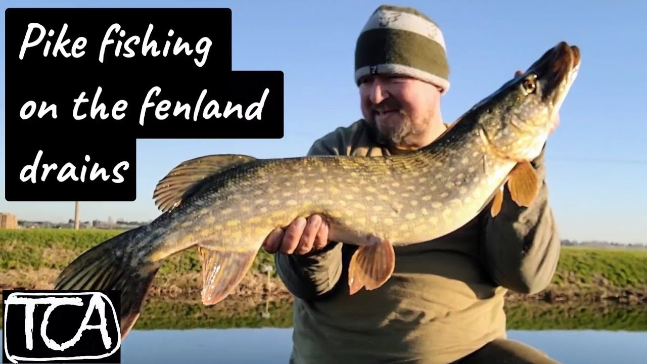 Pike fishing on the fenland drains using deadbaits VID 014
