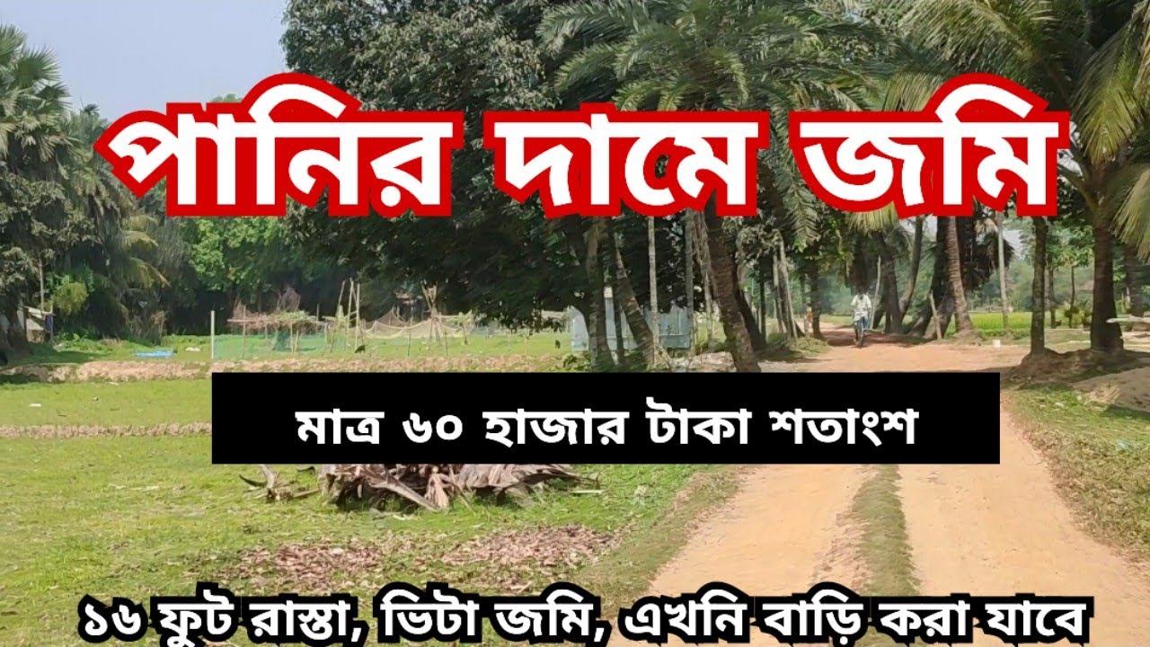 পানির দামে ভিটা ১৮ শতাংশ জমি বিক্রি হবে || land for sale || jomi bikroy || জমি বিক্রয় || land sale