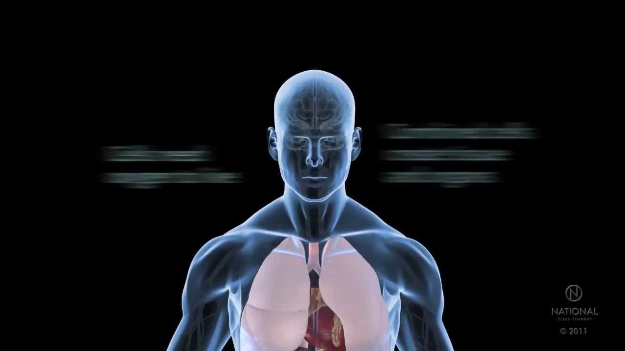 Body Basics: What is sleep apnea and how does it affect your body?