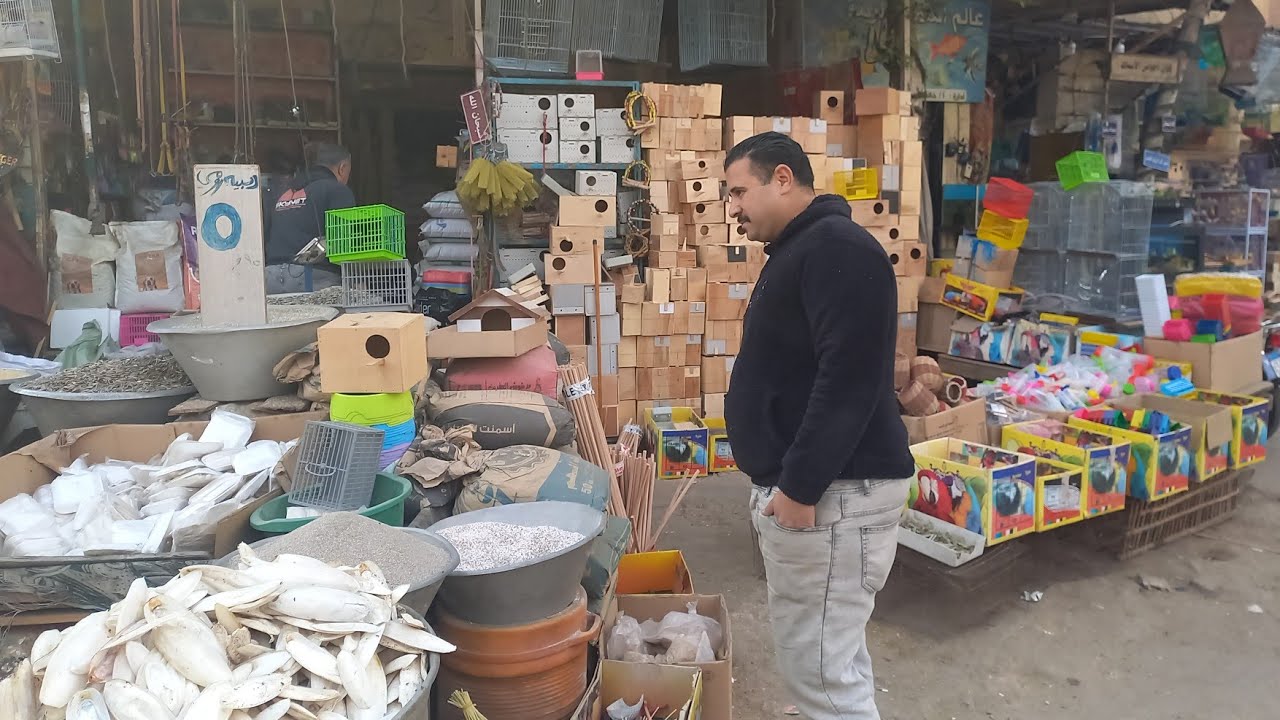 محلات الناحل واولاده💯اسعار العشوش والمسق والاكالات وأكل العصافير⁉️ومكانه بسوق الجمعة💚⚘️