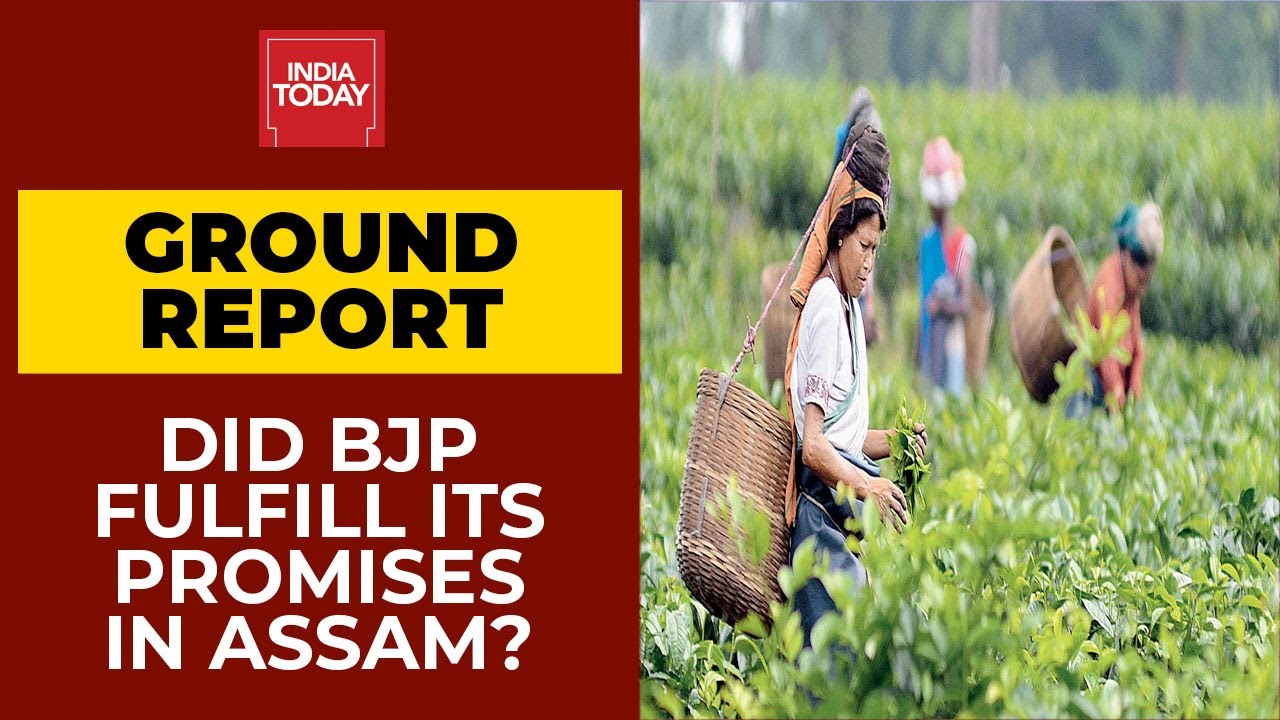 Assam Polls 2021: Did BJP Fulfill Promises Made To The People Of Assam? |India Today's Ground Report