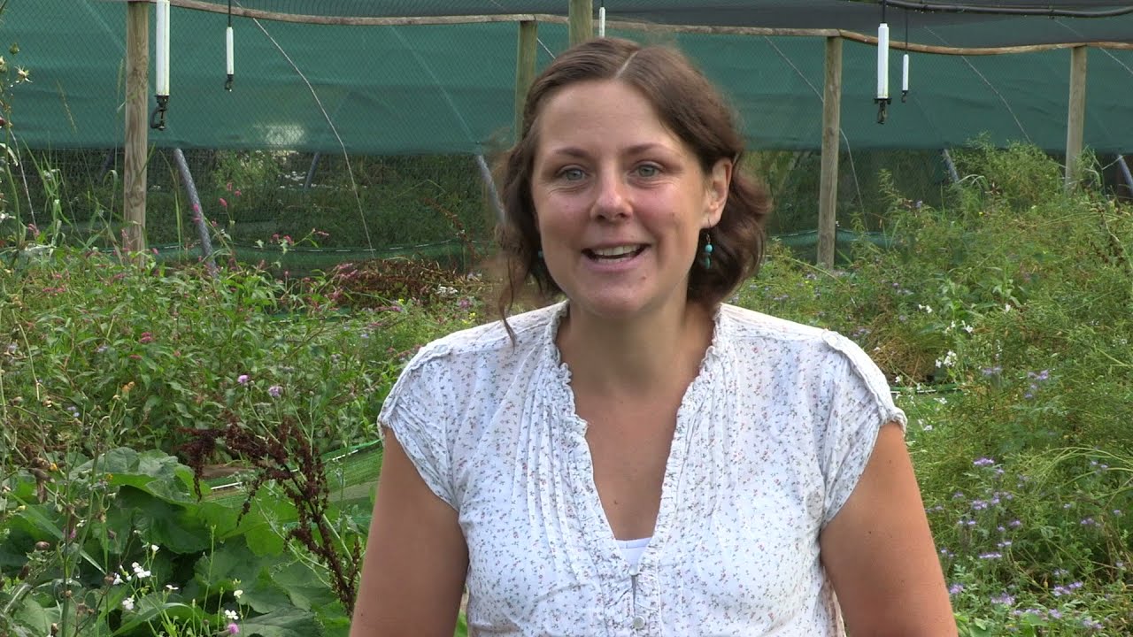 Camille Steil hélicicultrice à Drucat