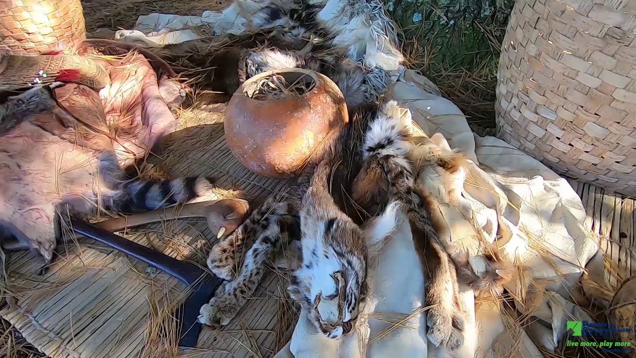 Learn About the Traditional Tools of Native Americans with Daniel 