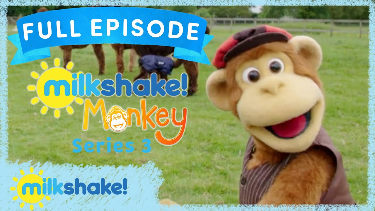 Milkshake! Monkey | Alpaca
