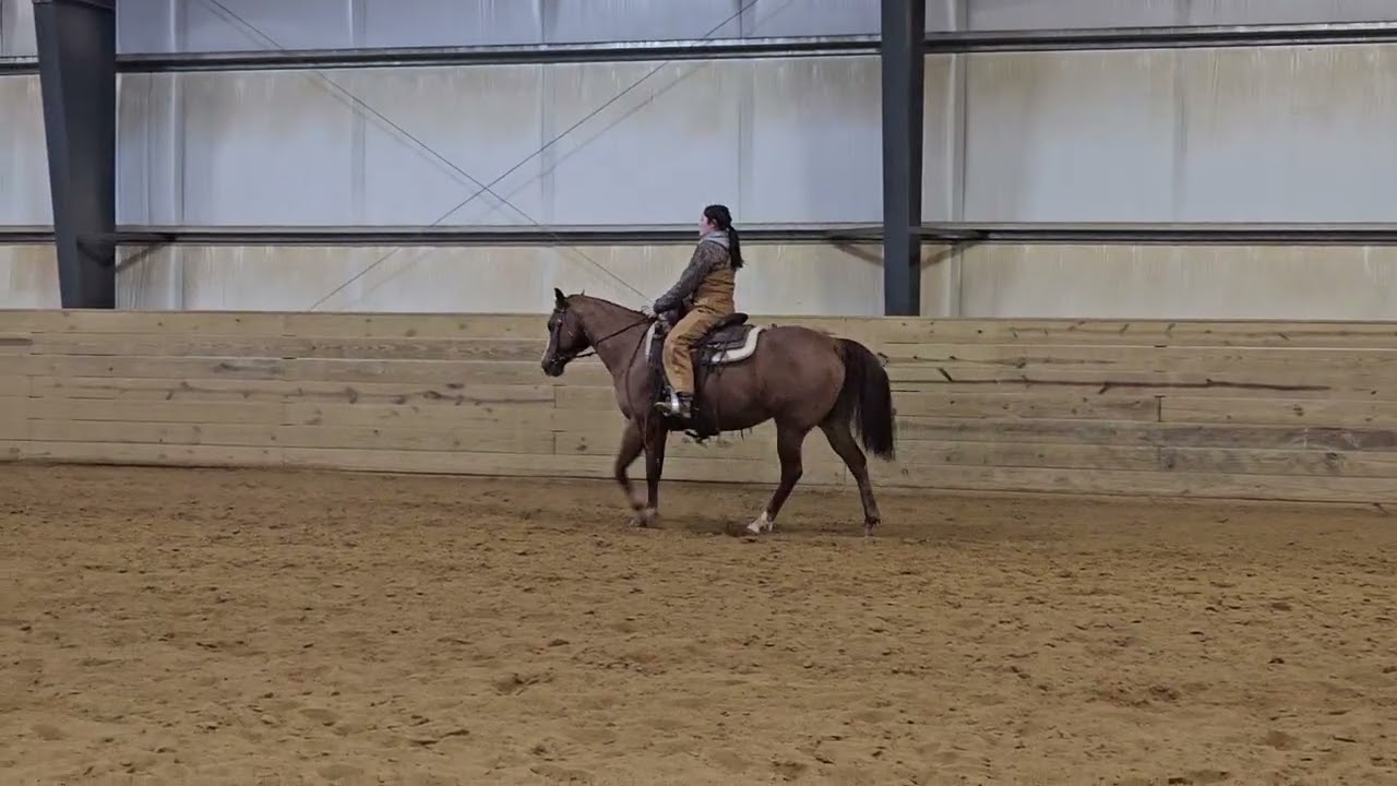 2026 show #1 paisley Miller and Emma youth ranch rail 
