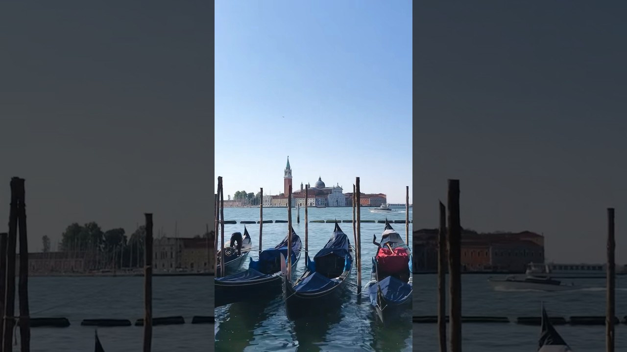 Doge's Palace - Pelvis of San Marco🪝Venezia Italia 🇮🇹 #vacation #europe #tourism #shorts #history