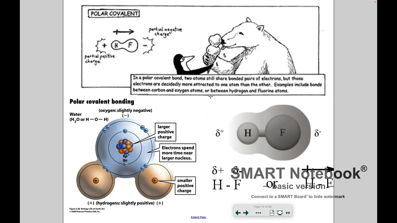 6.1 Types of Chemical Bonds