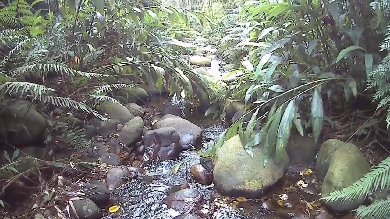 番子窩坑溪+宵裡溪支流-溪流水下Underwater-SJCAM SJ4000