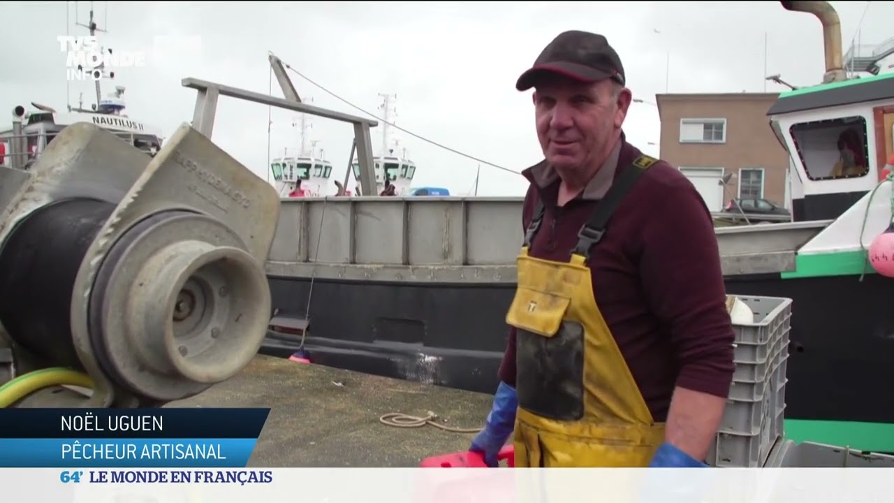Reportage sur les cons&eacute;quences de la p&ecirc;che massive industrielle