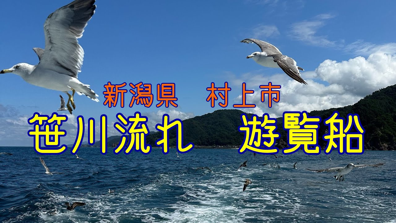 【新潟】笹川流れ遊覧船　潮風とカモメに出会える旅