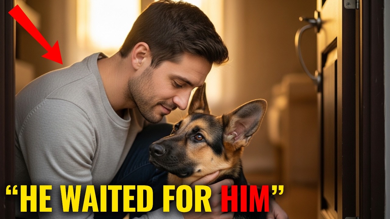 Rescue Pup Hides Under Bed Every Time Dad Comes Home — The Reason Is Chilling