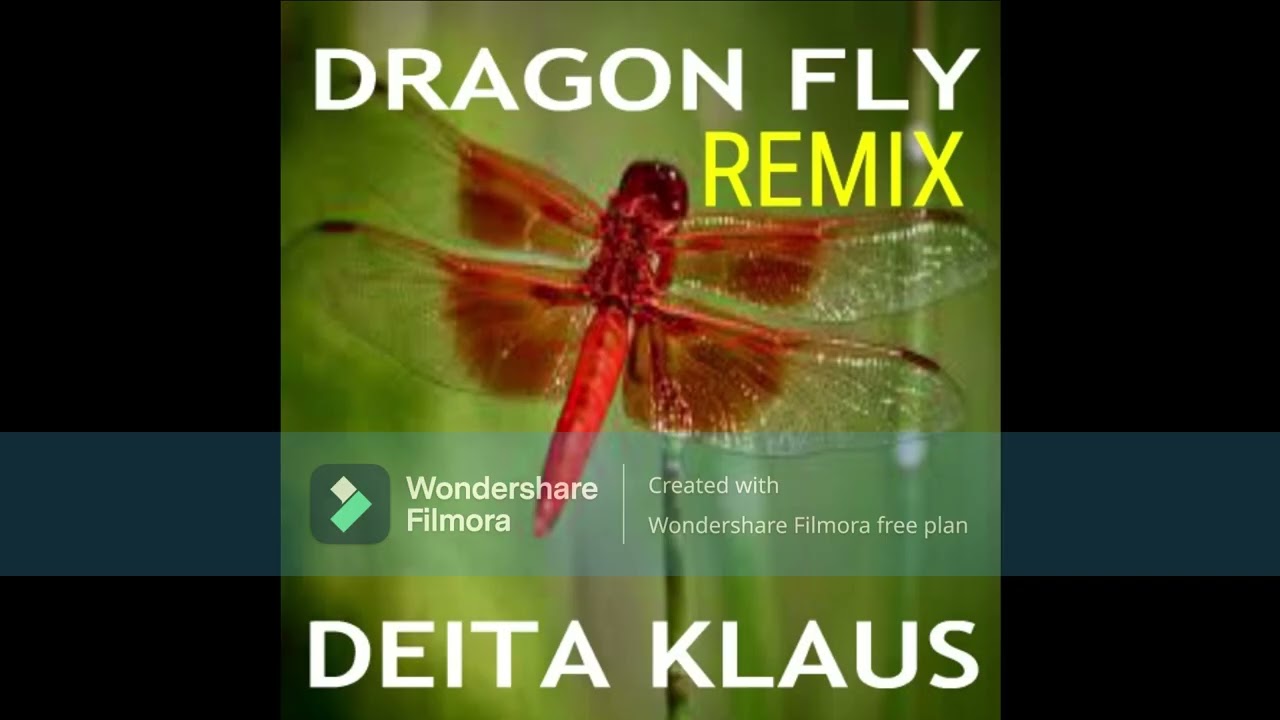 DRAGONFLY remix by Deita Klaus