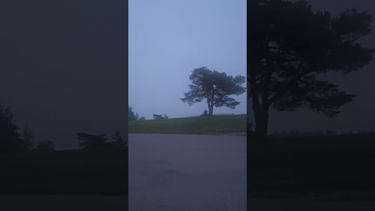 NewYorkStateRoadTrip