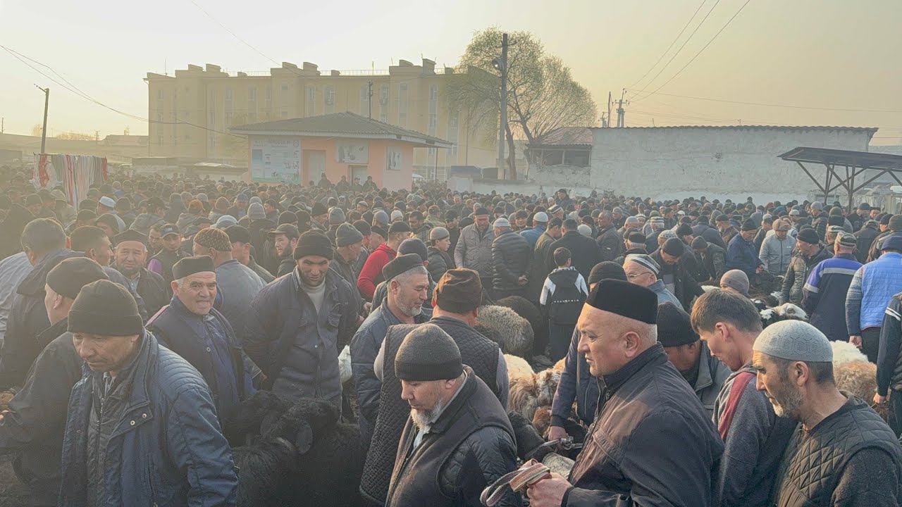 QUCHQORLAR ARZON BULDI QUCHQORLAR BOZORGA SEGʻMAY KETDI YANGIQURGʻON QUY BOZORI YAKSHANBA 01 03 2026