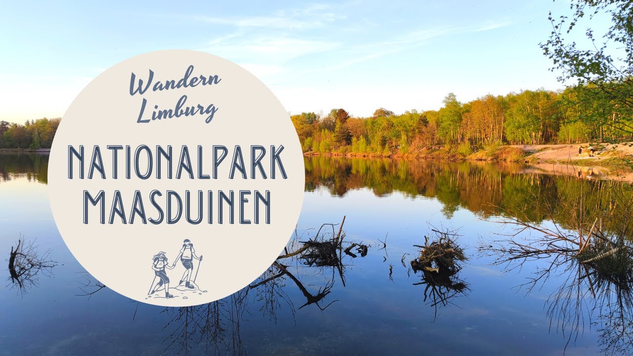 Abendwanderung durch die südlichen Maasduinen bei Arcen (NL)