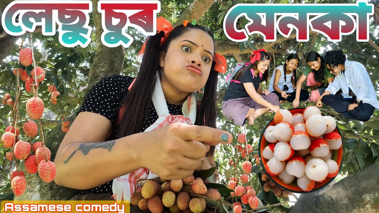 লেছু চুৰ মেনকা 🤪 |Sekhorkhaiti |Assamesecomedy |Funnyvideo |Menoka |Chayadeka |