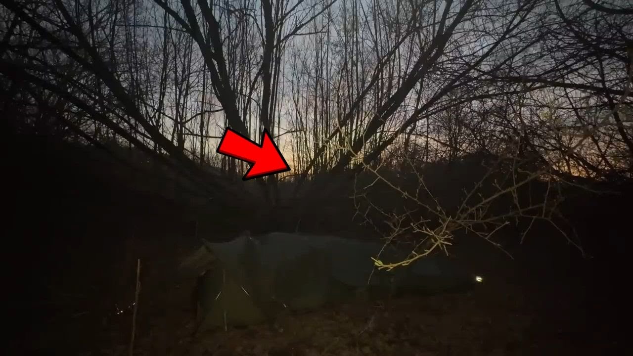 Os Encontros de Youtubers Mais Perturbadores em Florestas Capturados em Vídeo!