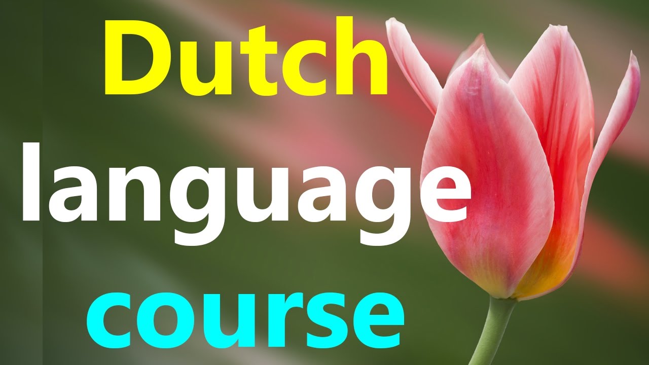 Learn Dutch language online fast for beginners conversation lesson while you sleep