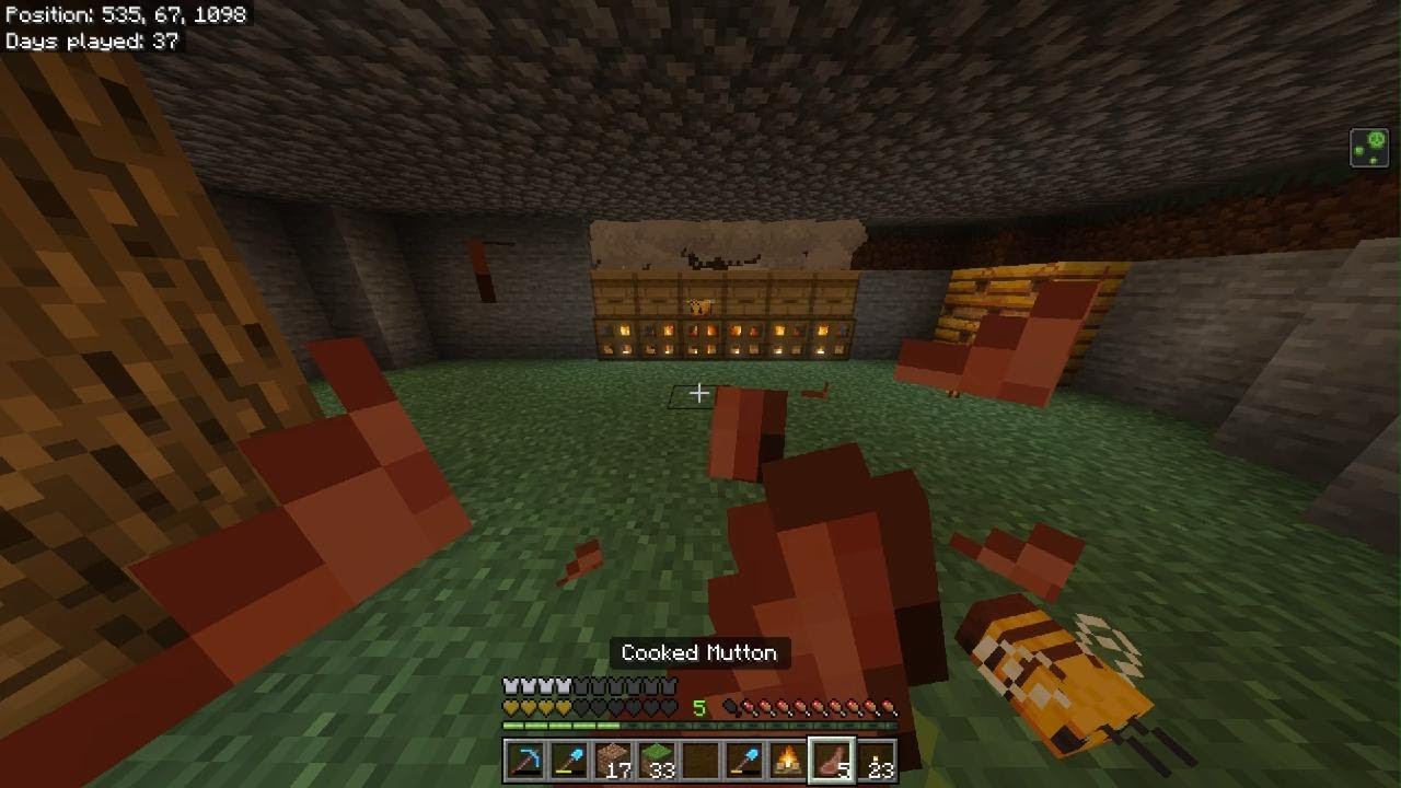 MC I Became a Beekeeper