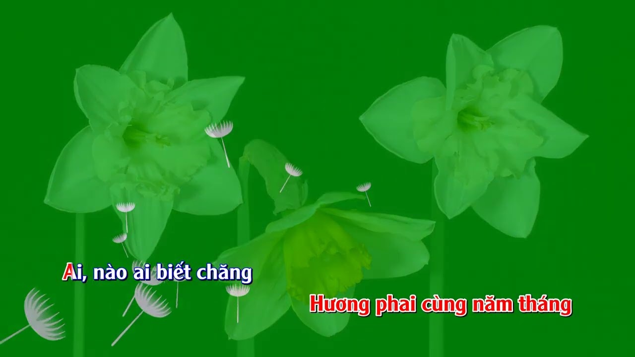 KARAOKE LẶNG LẼ ĐỜI HOA - SINGMYSONG ĐÀO MINH TÂM SUNO