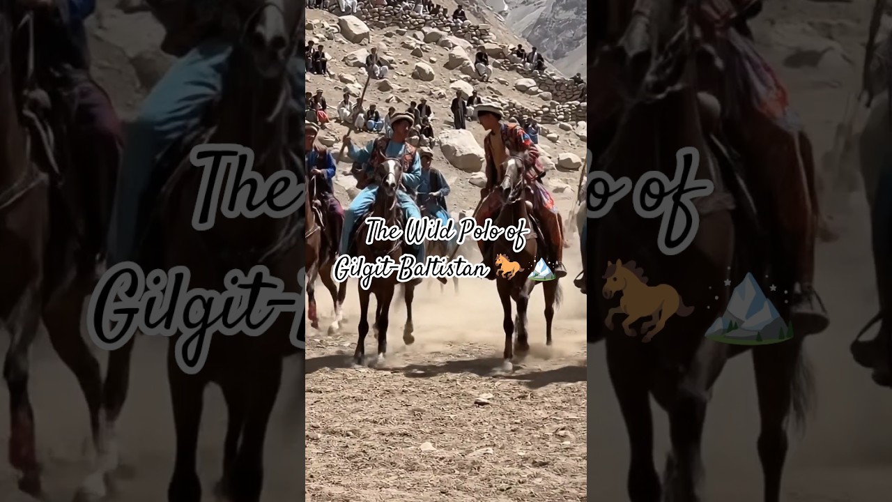The Wild Polo of Gilgit-Baltistan 🐎🏔️
