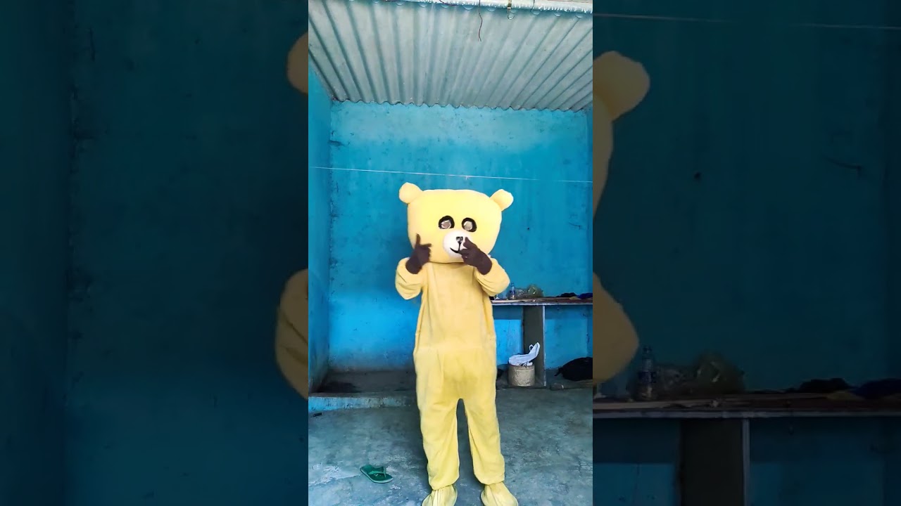 teddy bear dance 🧸 hello teddy 111